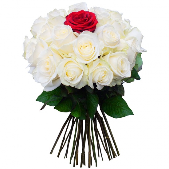 Midnight Sun Bouquet Jolly Florist Internatioal Flower